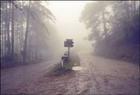 How to clear the fog from your vision of your future - link look listen learn from the mastermind behind the masterminder.